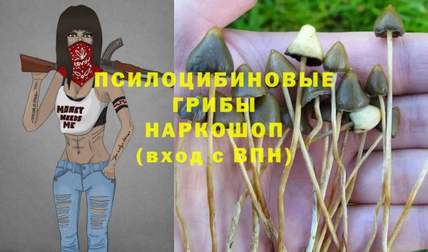метадон Михайлов