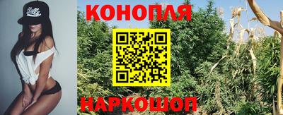 PSILOCYBIN Абакан